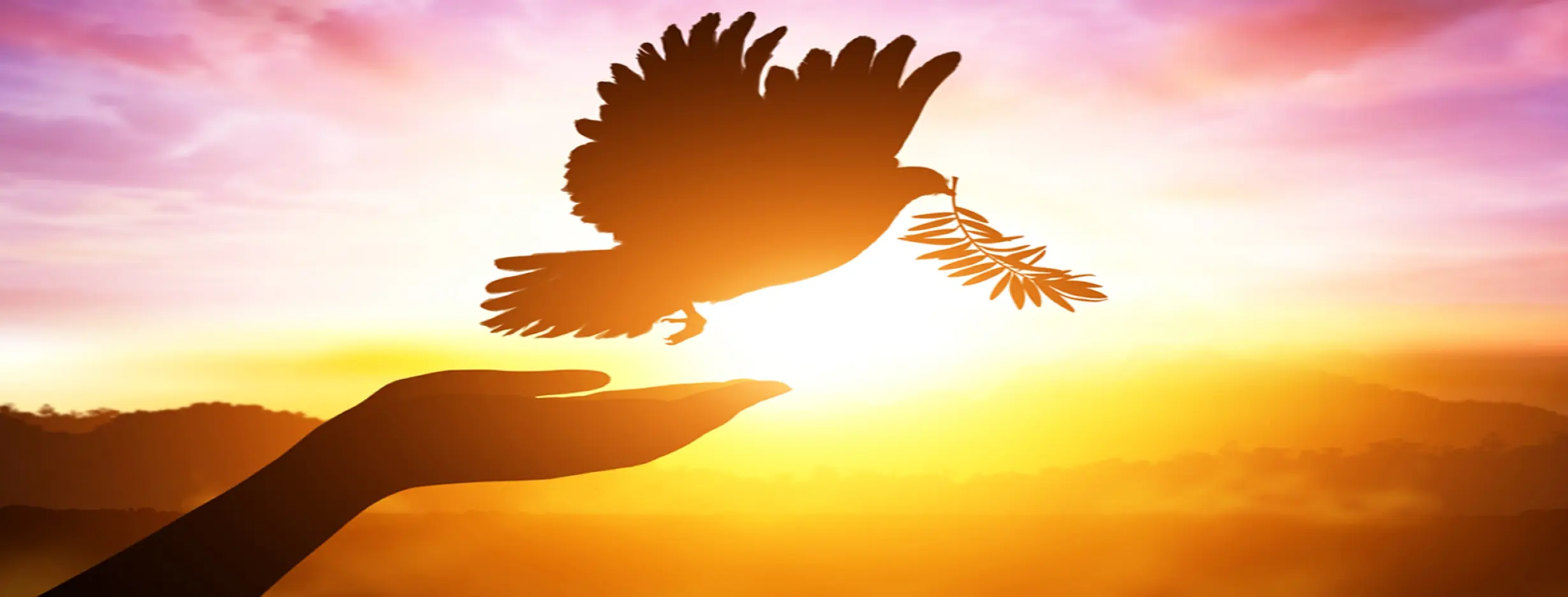 Image for Peaceful Environment